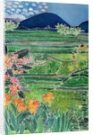 Lovina Ricefields with Lilies and Frangipani, Bali, 1996 by Hilary Simon