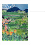 Lovina Ricefields with Lilies and Frangipani, Bali, 1996 by Hilary Simon