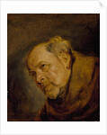 Head of a Monk by Anthony van Dyck