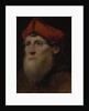 Portrait of a Bearded Prelate, c.1520-40 by Italian School