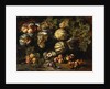 Still Life with Melons, Peaches, Figs, and Grapes, c. 1640-1650 by Michele Pace del Campidoglio