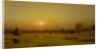 Marsh Sunset, Newburyport, Massachusetts, c. 1876-1882 by Martin Johnson Heade