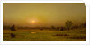 Marsh Sunset, Newburyport, Massachusetts, c. 1876-1882 by Martin Johnson Heade