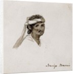 Navajo Warrior, 1869-1871 by Vincent Colyer