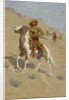 The Scout, c. 1902 by Frederic Remington
