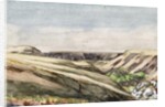 Arizona Mesas, 1869-71 by Vincent Colyer