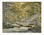Woodland Pool with Men Fishing, 1870 by John William Hill