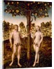 The Fall of Man, 1549 by Lucas the Younger Cranach