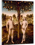 The Fall of Man, 1549 by Lucas the Younger Cranach