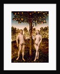 The Fall of Man, 1549 by Lucas the Younger Cranach