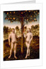 The Fall of Man, 1549 by Lucas the Younger Cranach