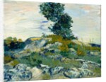 The Rocks, 1888 by Vincent van Gogh
