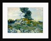 The Rocks, 1888 by Vincent van Gogh
