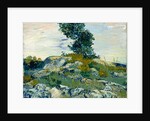 The Rocks, 1888 by Vincent van Gogh