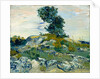 The Rocks, 1888 by Vincent van Gogh