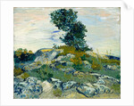 The Rocks, 1888 by Vincent van Gogh