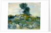 The Rocks, 1888 by Vincent van Gogh