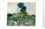 The Rocks, 1888 by Vincent van Gogh