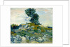 The Rocks, 1888 by Vincent van Gogh