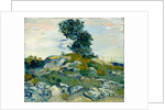 The Rocks, 1888 by Vincent van Gogh