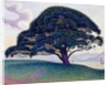 The Bonaventure Pine, 1893 by Paul Signac