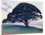 The Bonaventure Pine, 1893 by Paul Signac