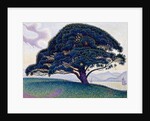 The Bonaventure Pine, 1893 by Paul Signac