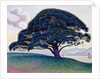 The Bonaventure Pine, 1893 by Paul Signac