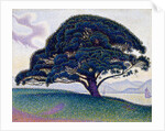 The Bonaventure Pine, 1893 by Paul Signac