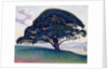 The Bonaventure Pine, 1893 by Paul Signac