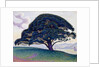 The Bonaventure Pine, 1893 by Paul Signac