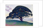 The Bonaventure Pine, 1893 by Paul Signac