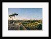 A View of Rome from the Aventine, 1873 by Julius O. Montalant