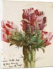 Crimson Cactus Bud of New Mexico, 1869 by Vincent Colyer