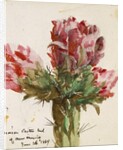 Crimson Cactus Bud of New Mexico, 1869 by Vincent Colyer