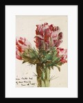 Crimson Cactus Bud of New Mexico, 1869 by Vincent Colyer