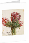 Crimson Cactus Bud of New Mexico, 1869 by Vincent Colyer