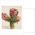 Crimson Cactus Bud of New Mexico, 1869 by Vincent Colyer