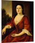 Portrait of Mrs John Greenleaf, nee Priscilla Brown c.1748 by John Greenwood