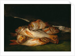 Still Life with Golden Bream, 1808-12 by Francisco Jose de Goya y Lucientes