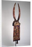 Helmet mask with buffalo horns, Burkina Faso, Bobo Diulasso region, Africa, early 20th century by Culture Bobo