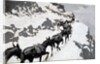 The Mule Pack 1901 by Frederic Remington