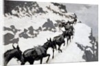 The Mule Pack 1901 by Frederic Remington