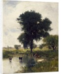 Cattle in Pool, 1880 by George Snr. Inness