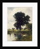 Cattle in Pool, 1880 by George Snr. Inness