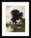 Cattle in Pool, 1880 by George Snr. Inness