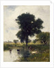 Cattle in Pool, 1880 by George Snr. Inness