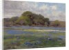 A Road through the Bluebonnets, c.1919 by Julian Onderdonk
