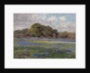 A Road through the Bluebonnets, c.1919 by Julian Onderdonk