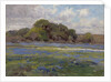 A Road through the Bluebonnets, c.1919 by Julian Onderdonk